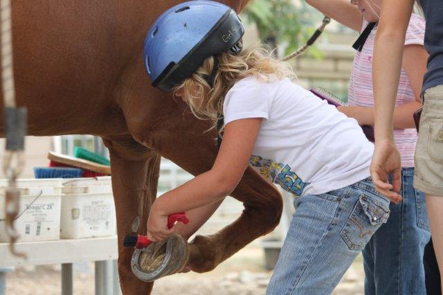 Grooming Station